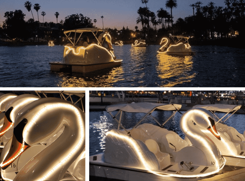 Lagoon and Paddle Boats