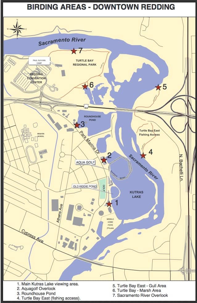 Peaceful Waterways