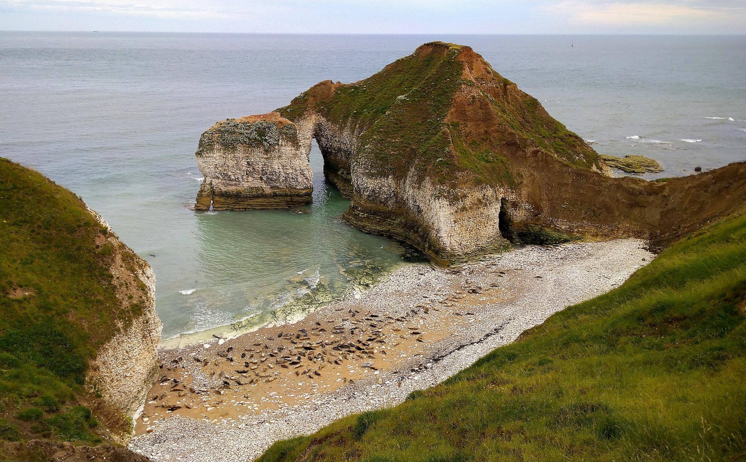 Chalk Cliffs and Estuary