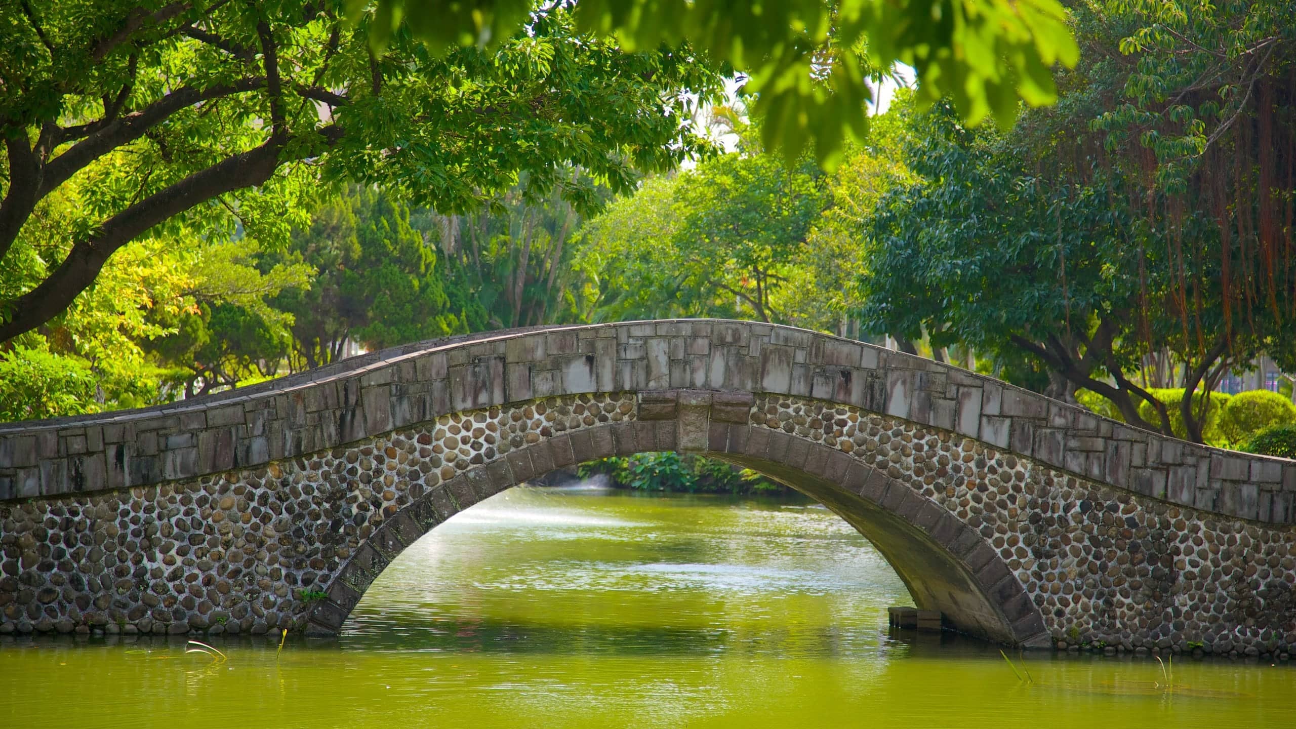 Tranquil Gardens & Ponds