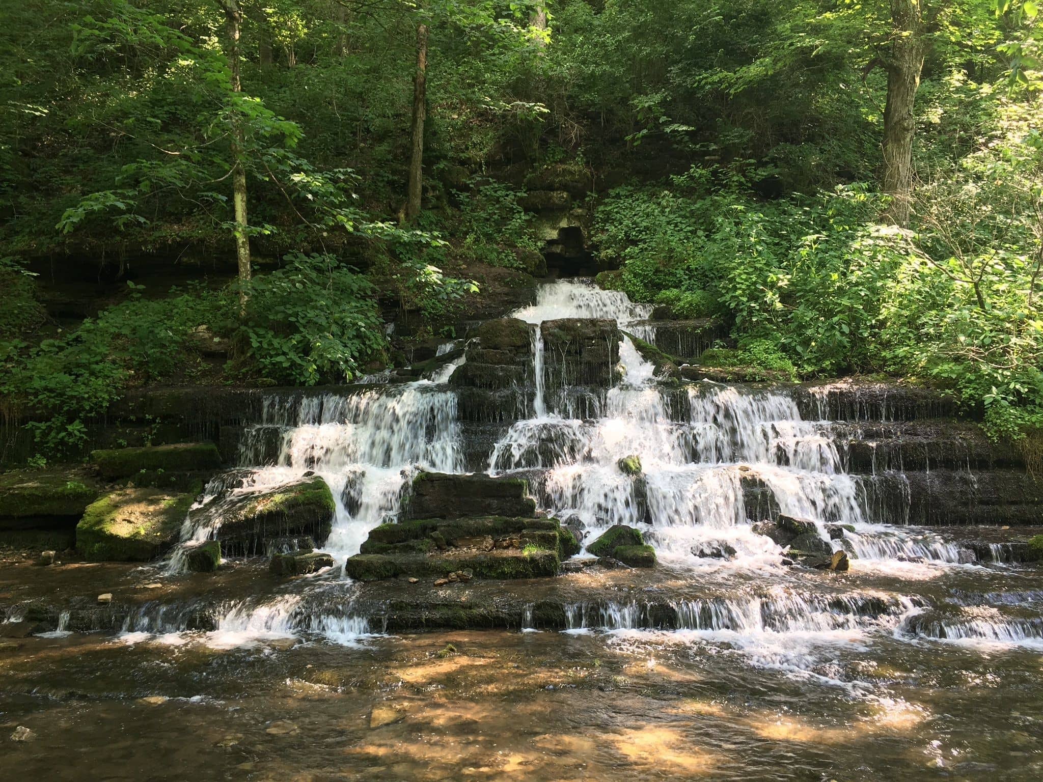 Scenic Walking Trails
