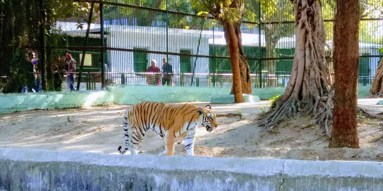 Kankaria Zoo