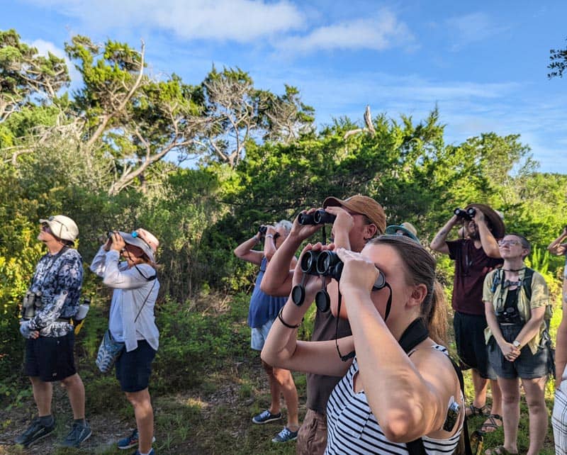 Birdwatcher's Paradise