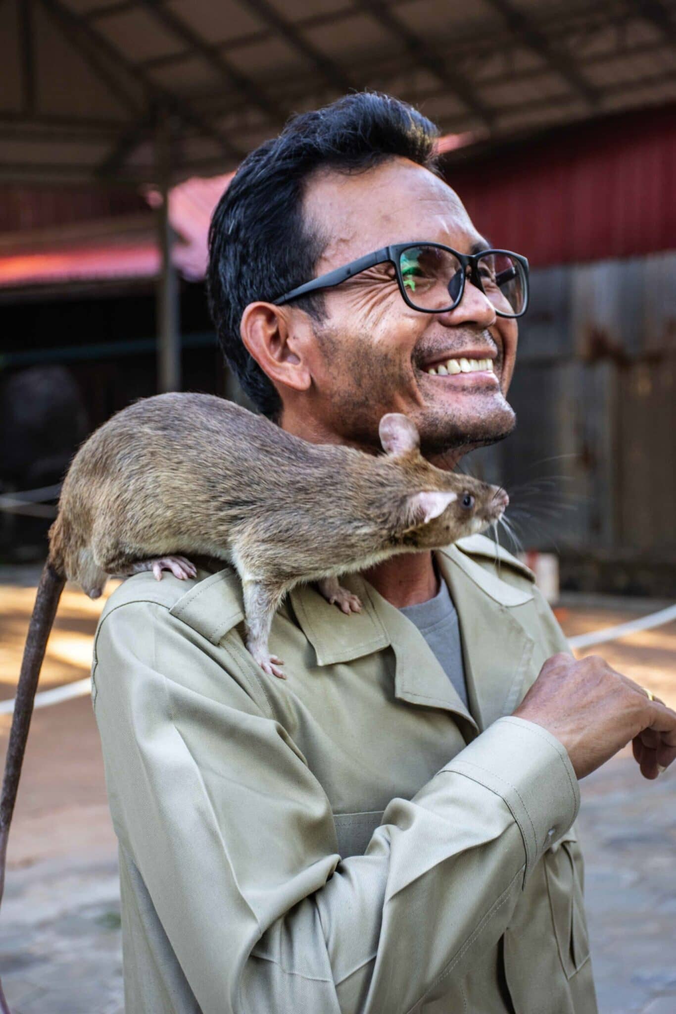 Meet a HeroRAT