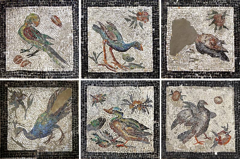 Villa of the Birds Mosaics
