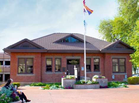 Cactus Brick Display