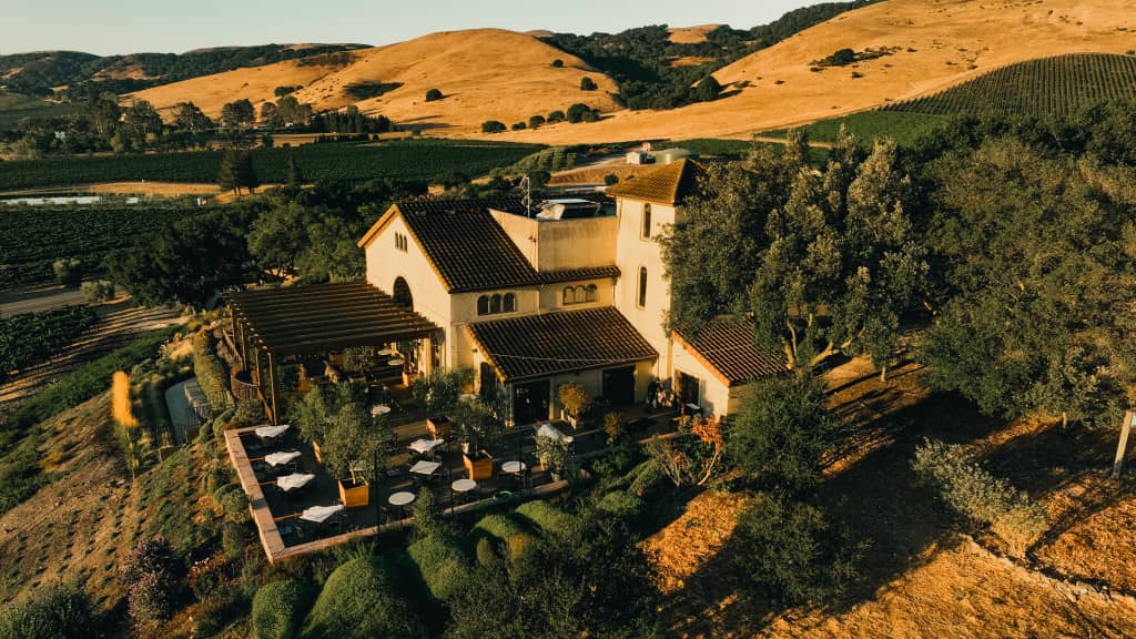 Panoramic Vineyard Views