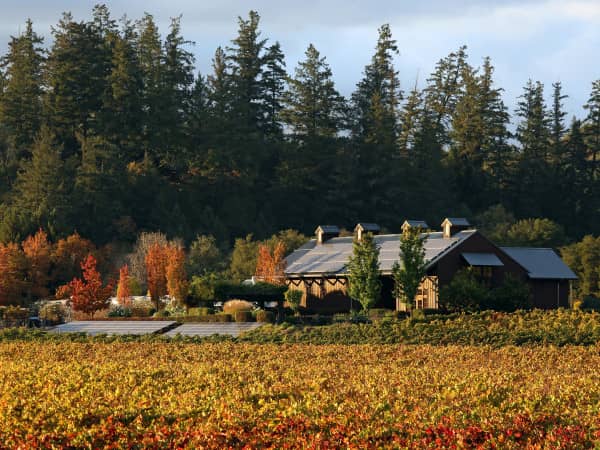 Exceptional Wine Selection