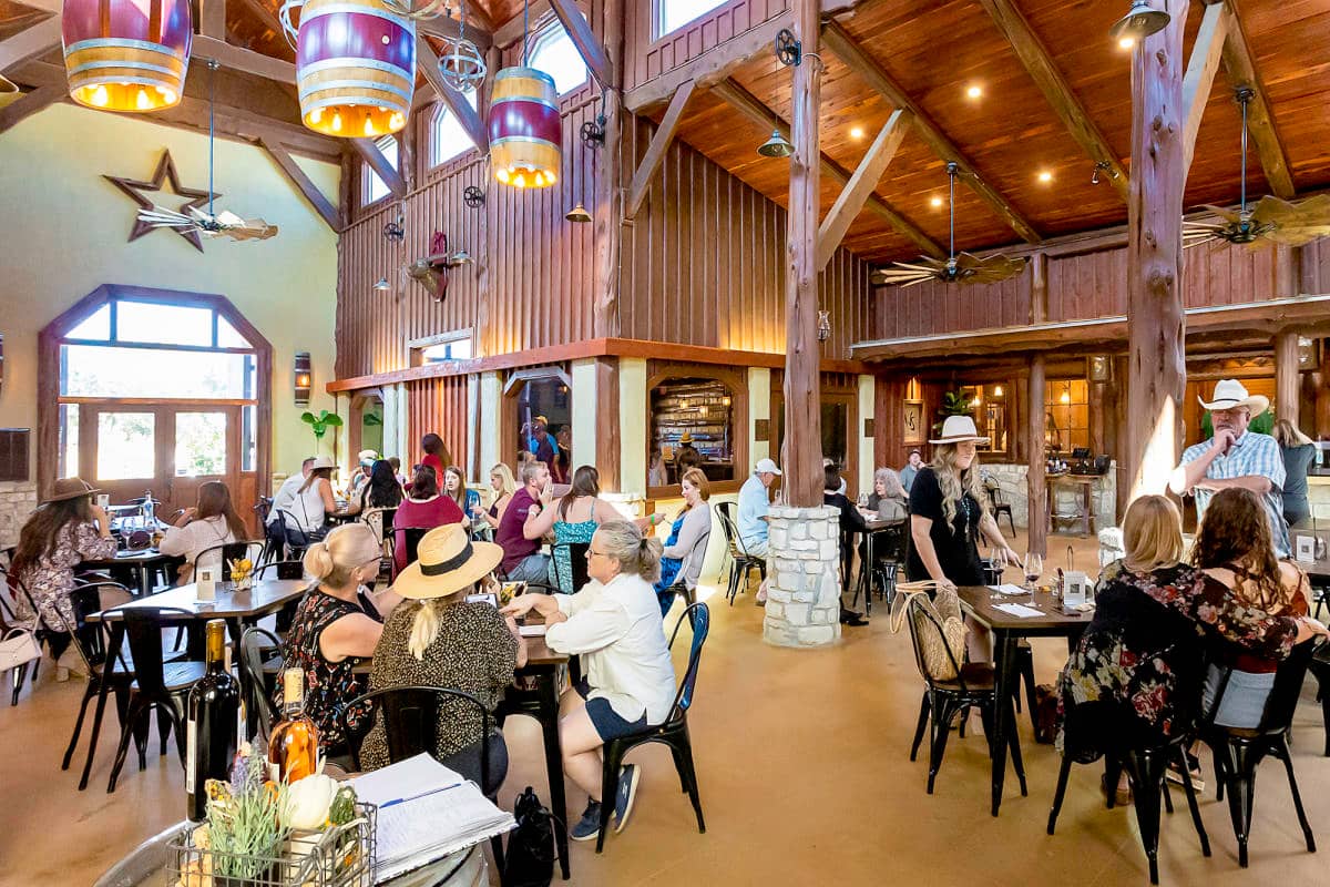 Wine Tasting & Vineyard