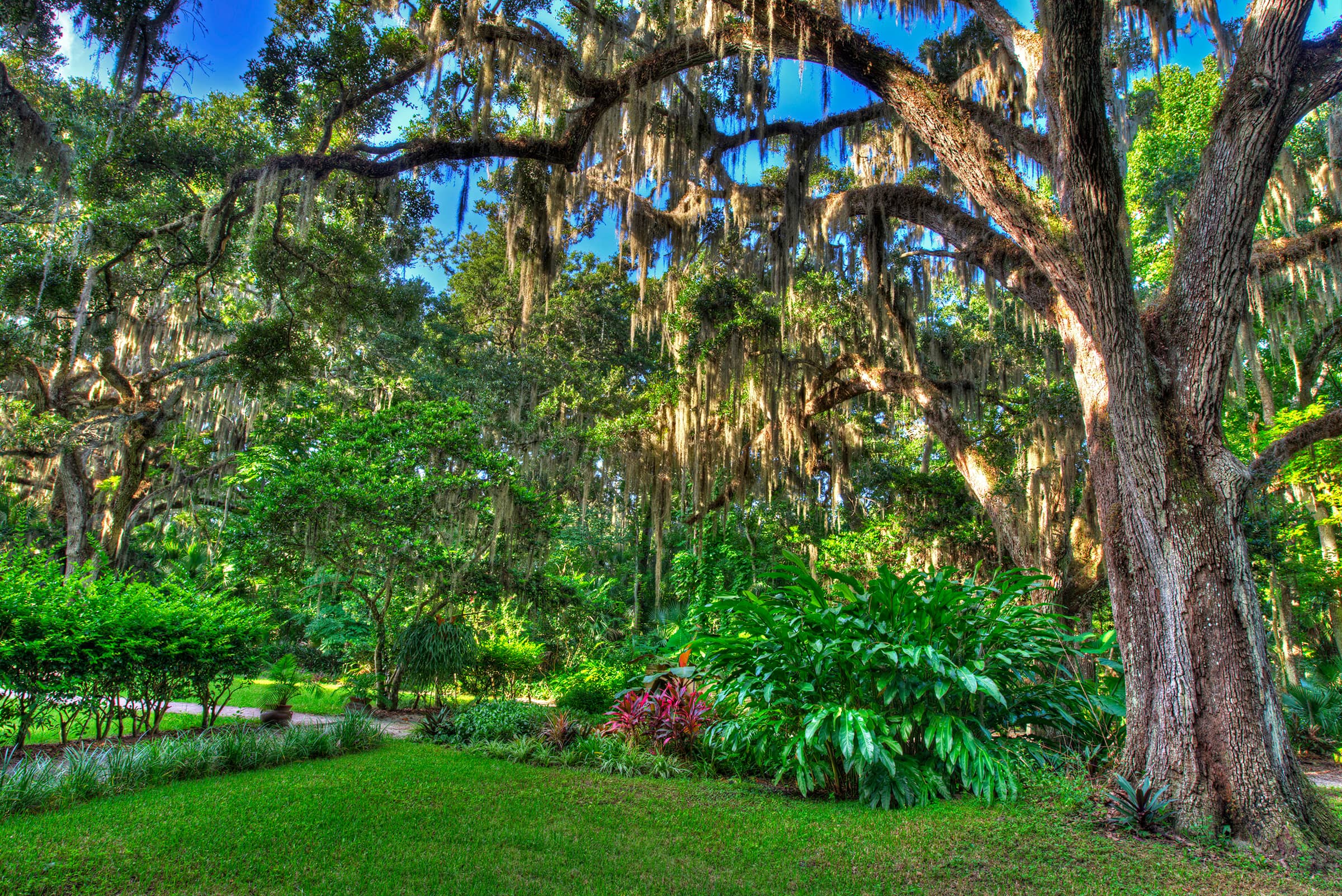 Lush Botanical Gardens