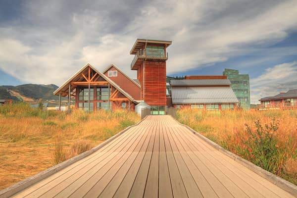 Boardwalk & Observation Tower