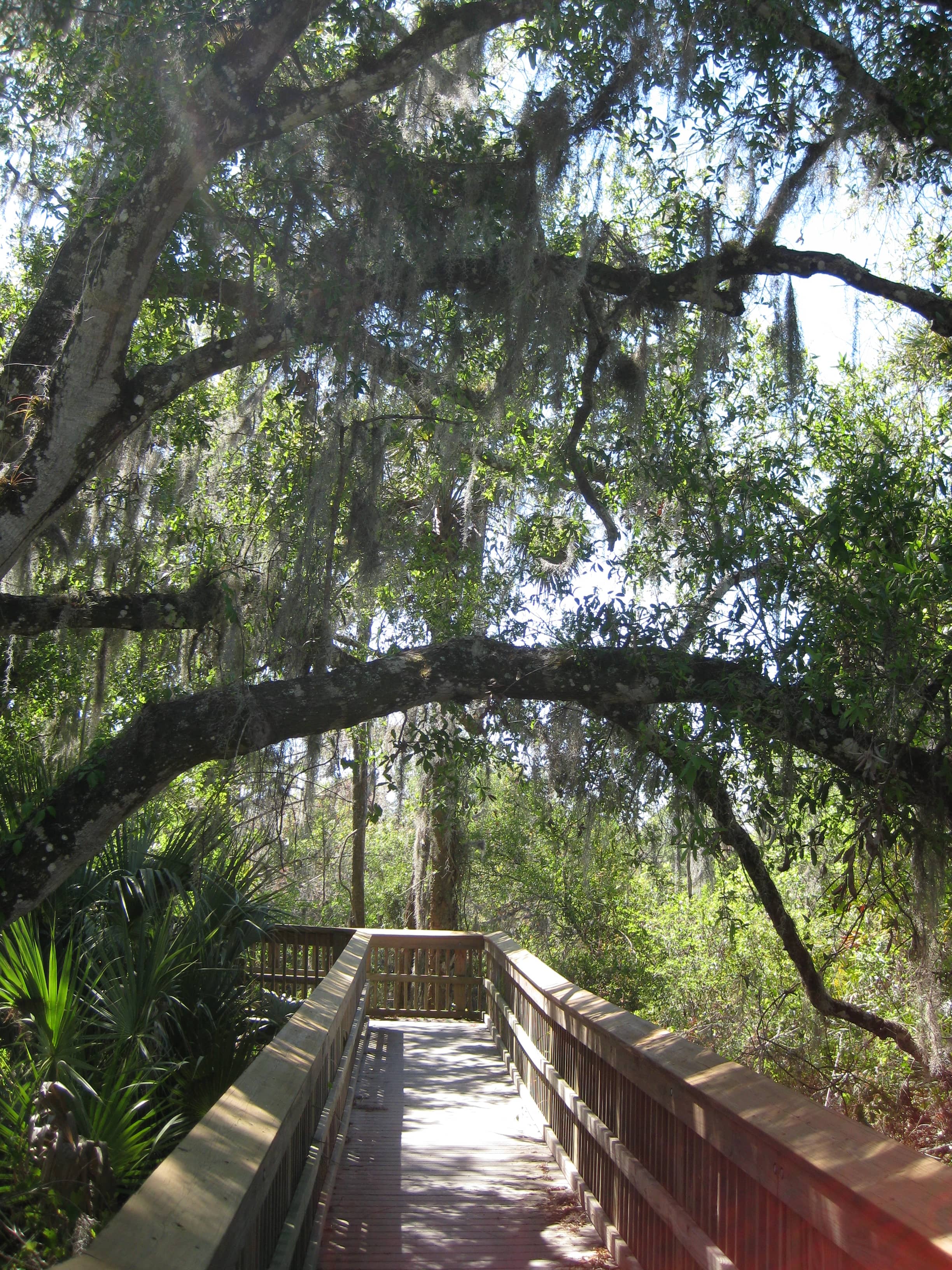 Creek Views & Boardwalks