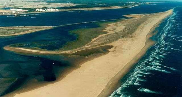 Highlights