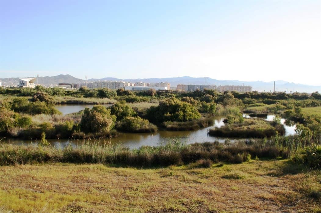 Guadalhorce River Nature Reserve