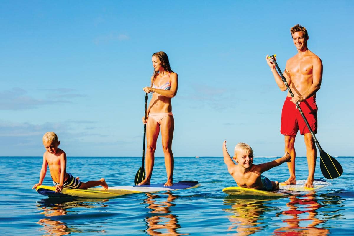 Paddleboard Rentals