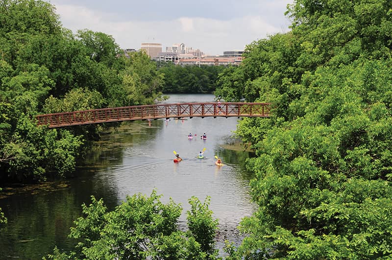 Zilker Park Oasis