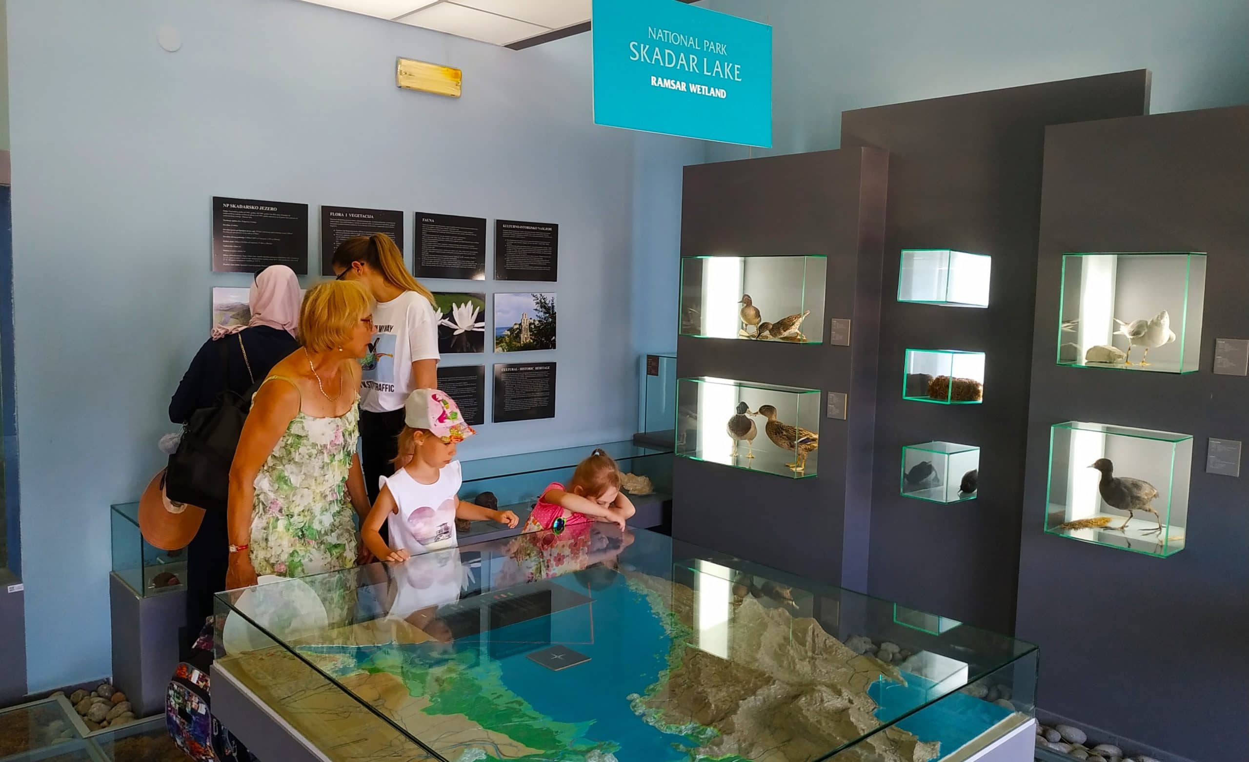 Nature and Wildlife Museum