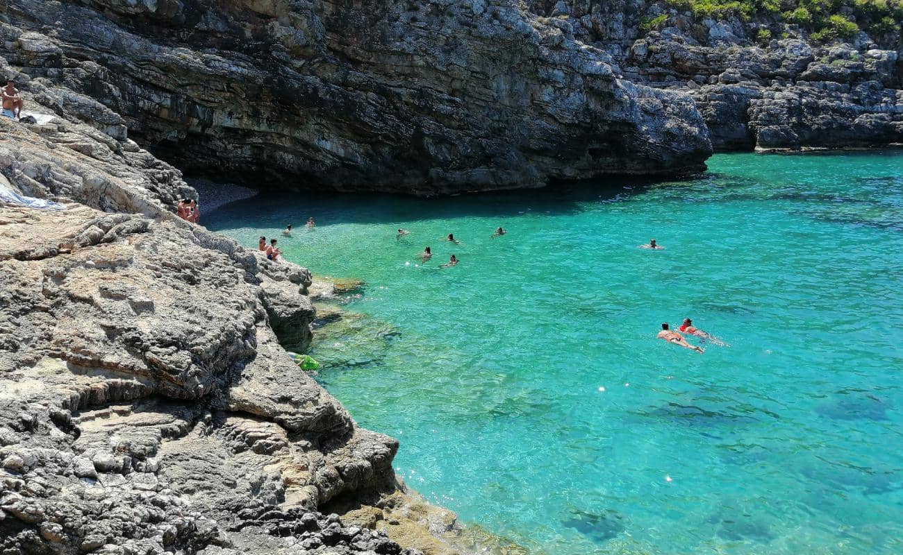 Snorkeling Adventures