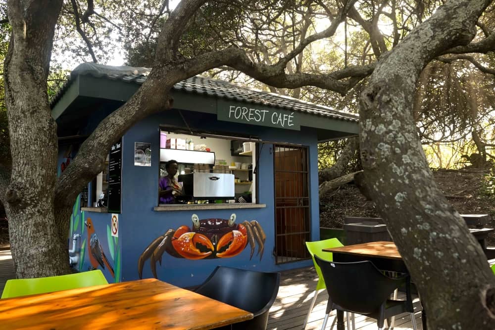 Forest Cafe