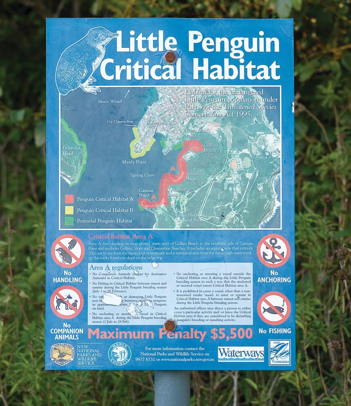 Defence of Sydney Tunnels