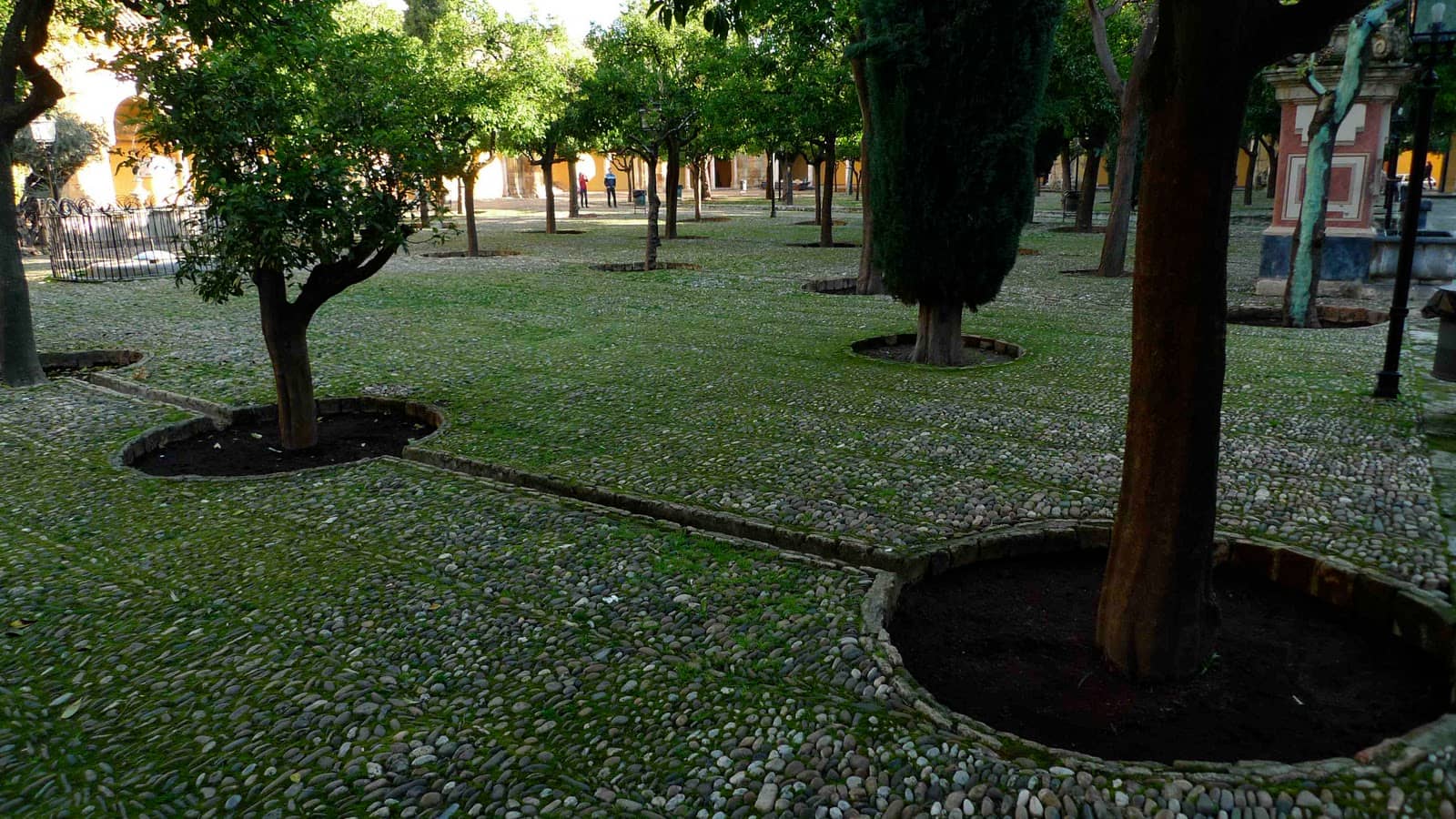Tranquil Orange Tree Gardens