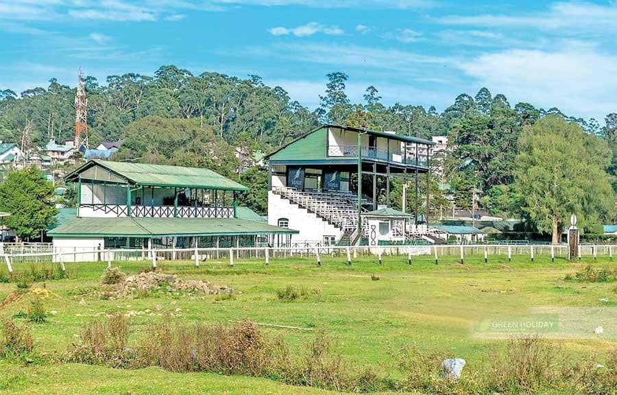 Local Cricket Matches