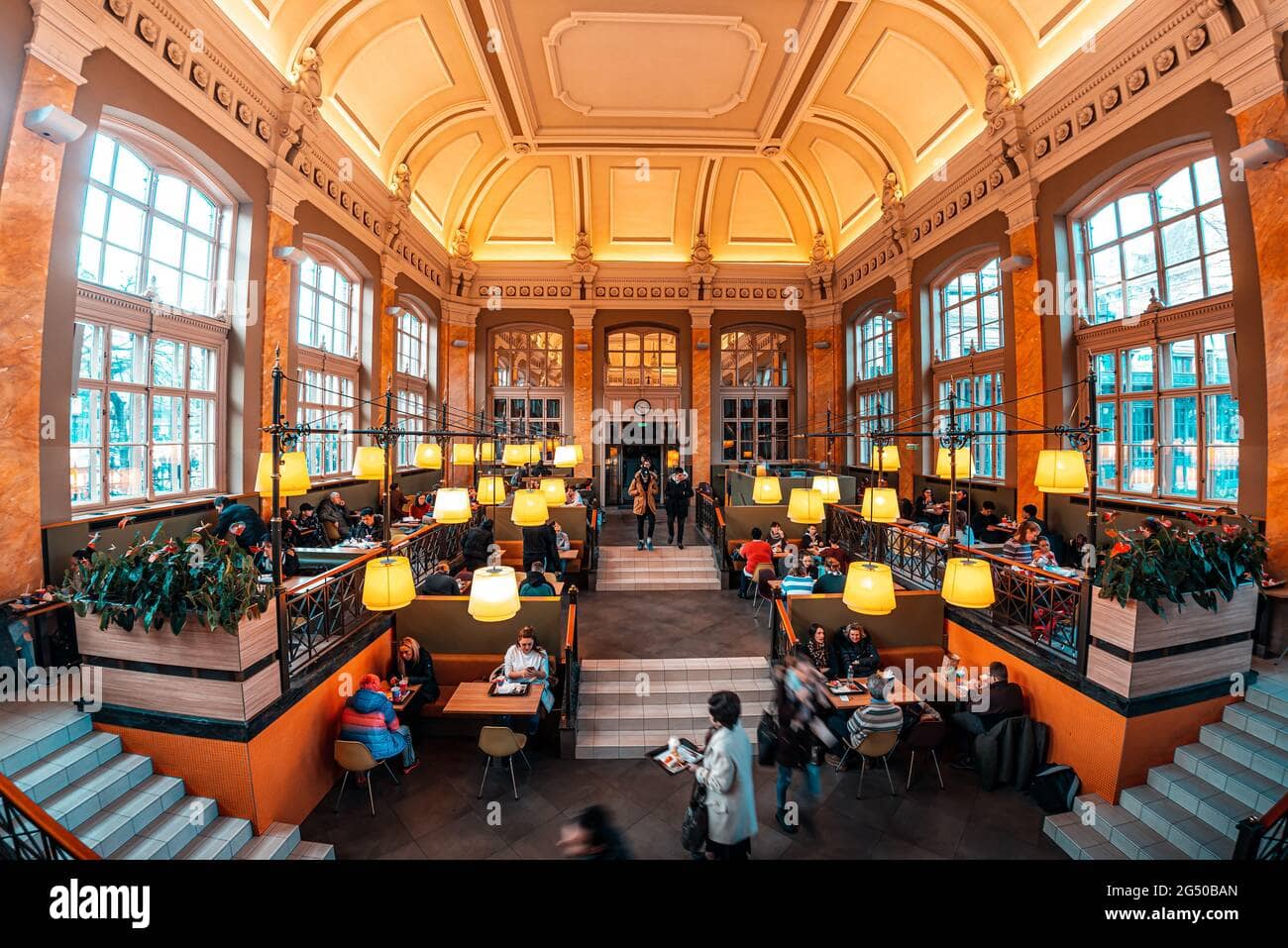 McDonald's with a View