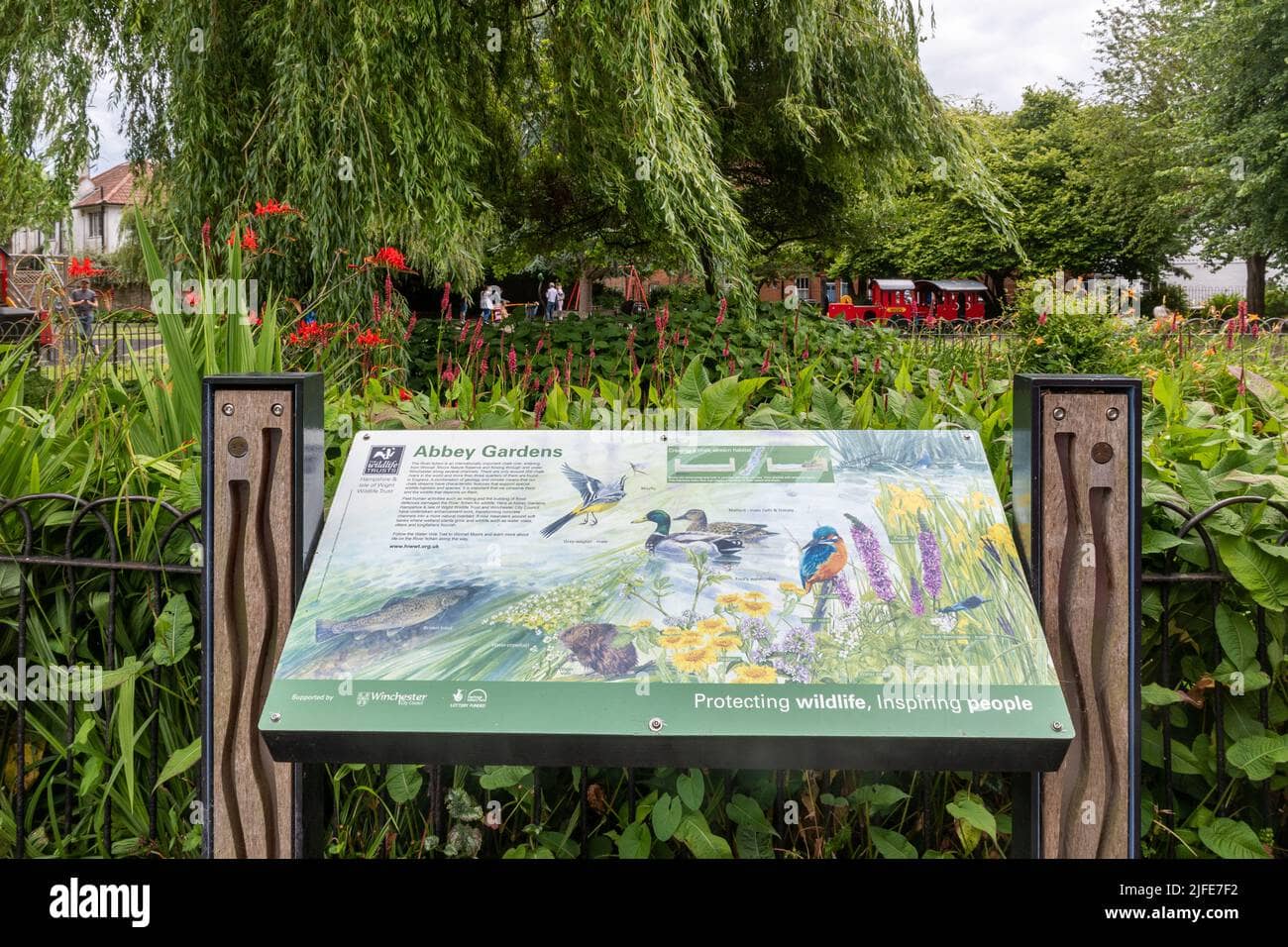 Tranquil Stream and Waterfowl