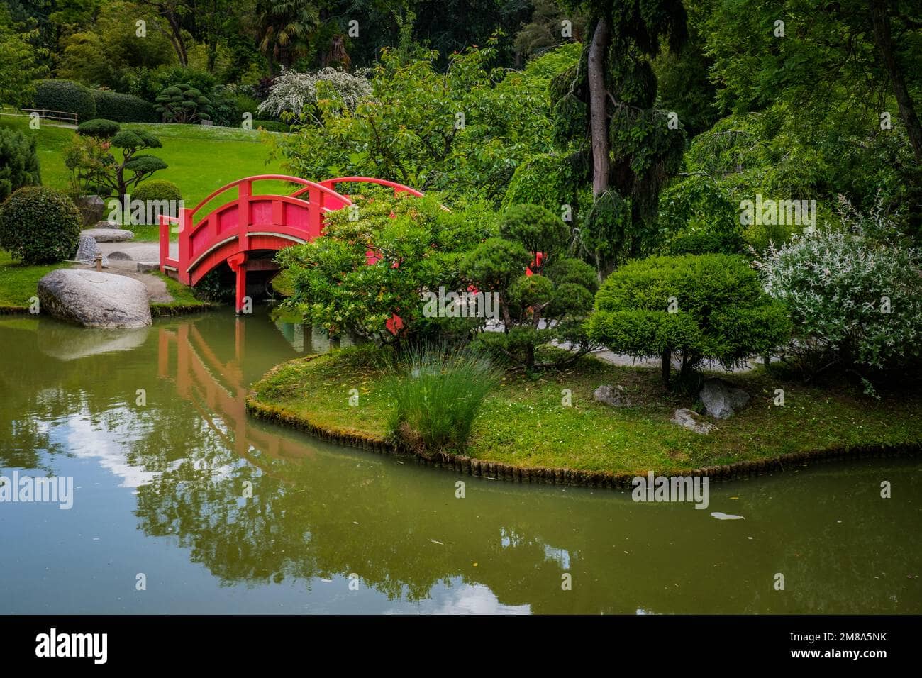 The Rose Garden