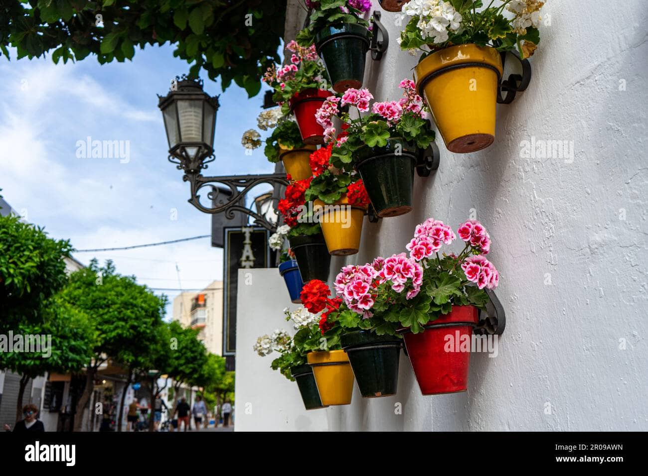 Flower-Adorned Streets