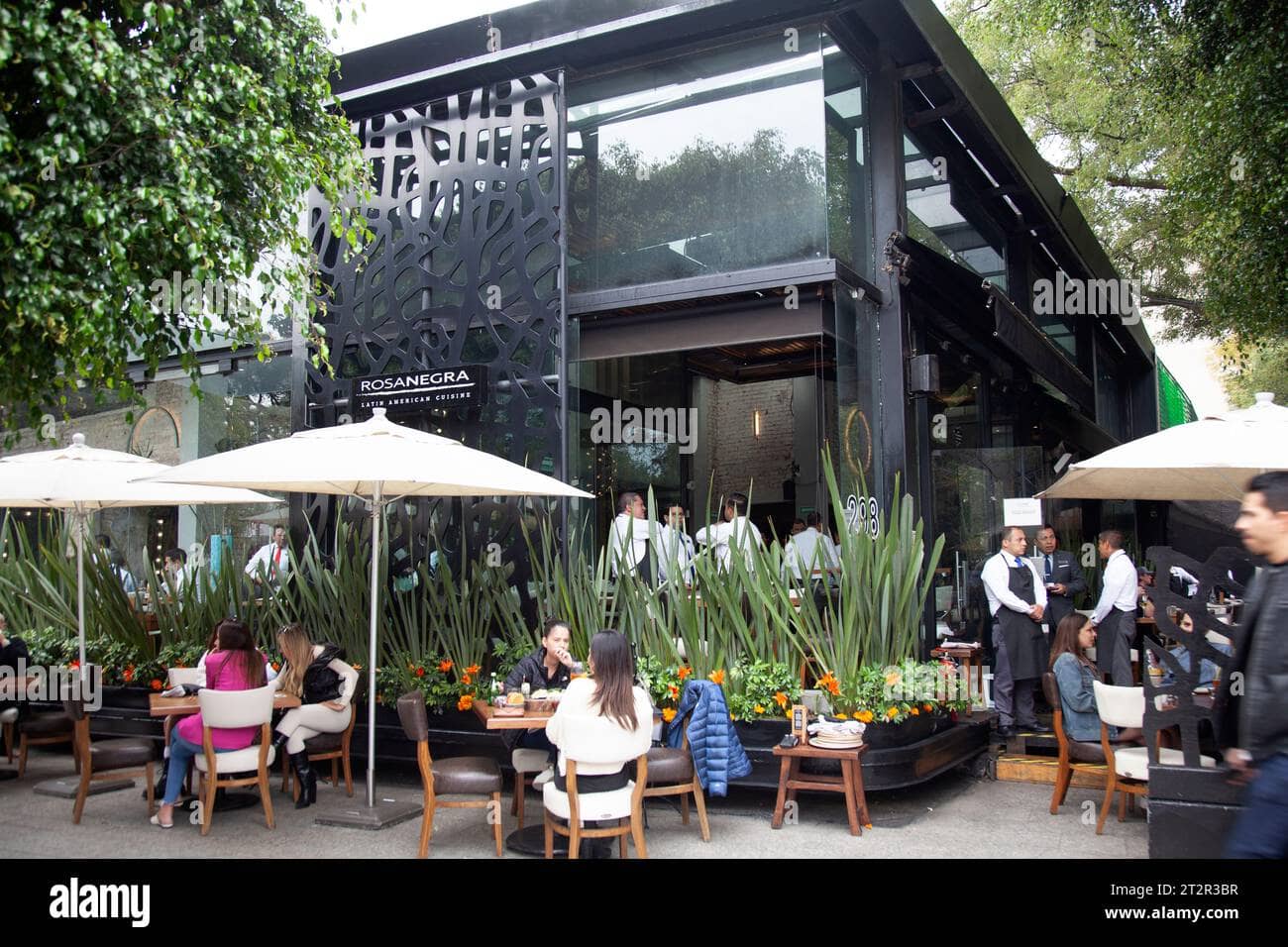 Upscale Dining Experiences