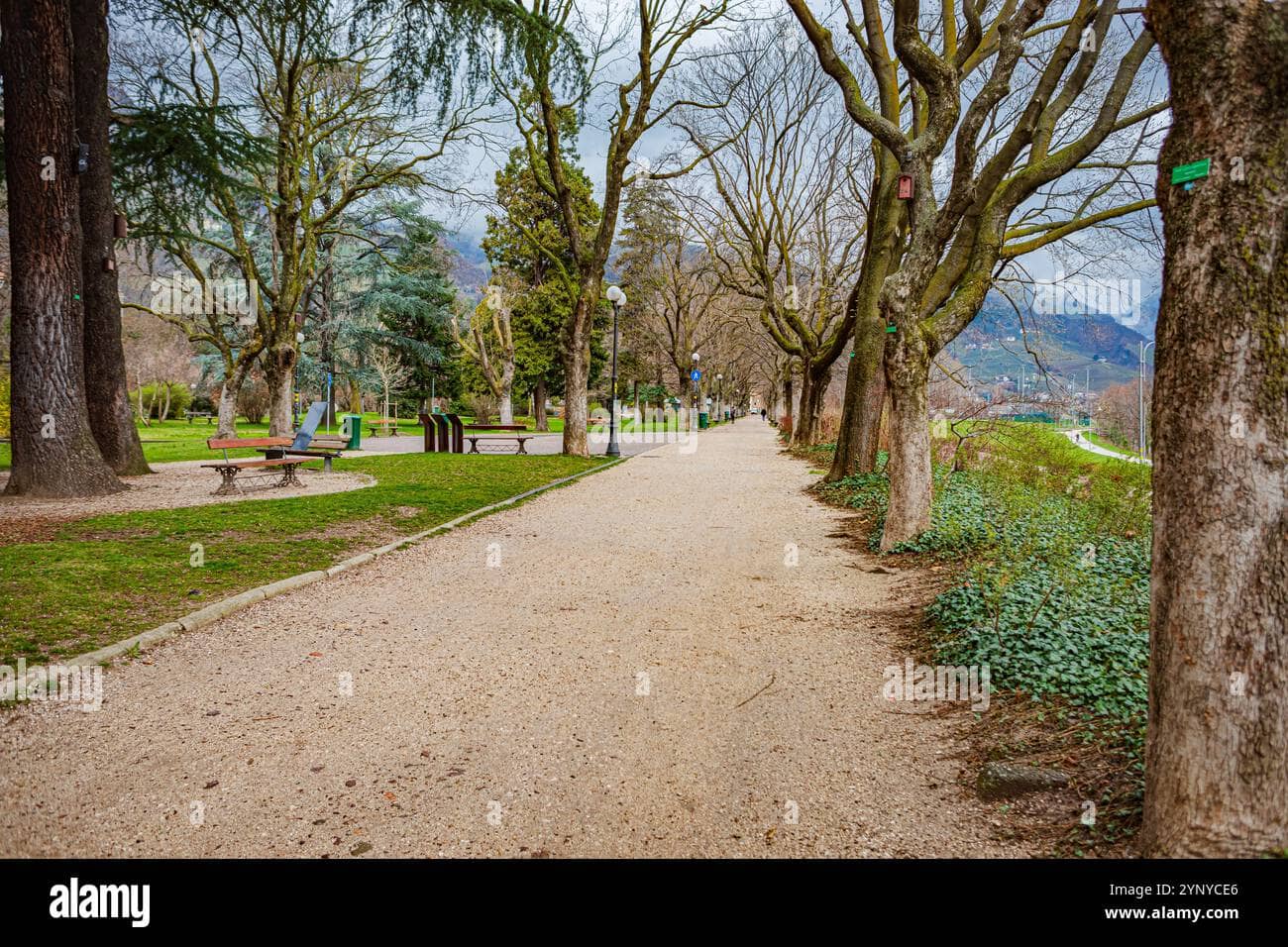 Pedestrian and Cycling Paths