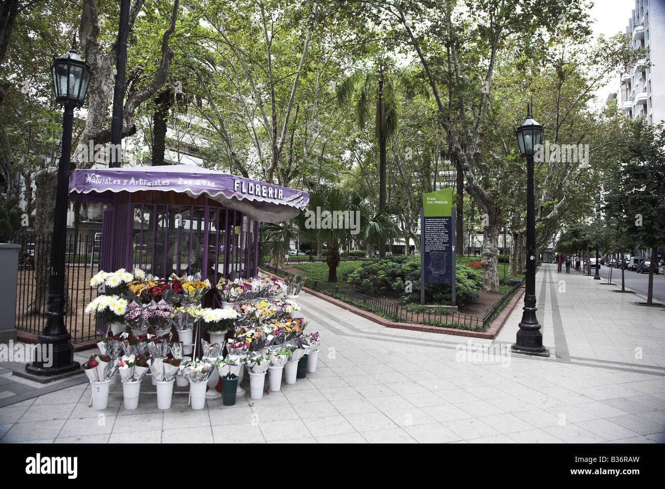 Street Vendors & Craft Fairs