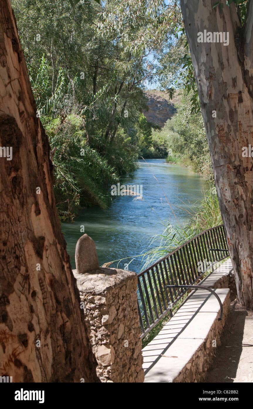 River Segura Surroundings