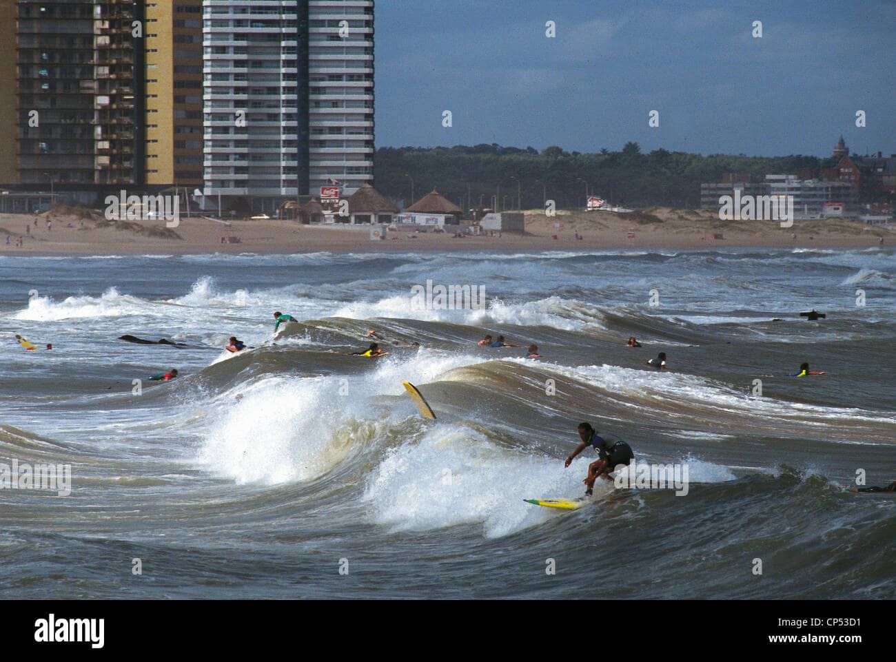 Surfing Paradise