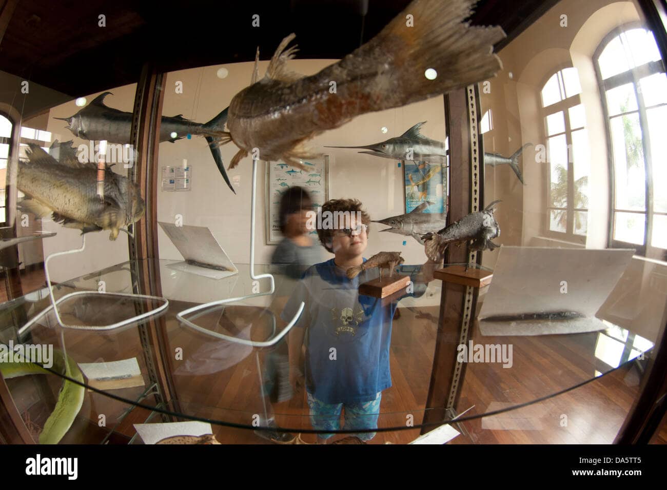 Stuffed Sea Creatures