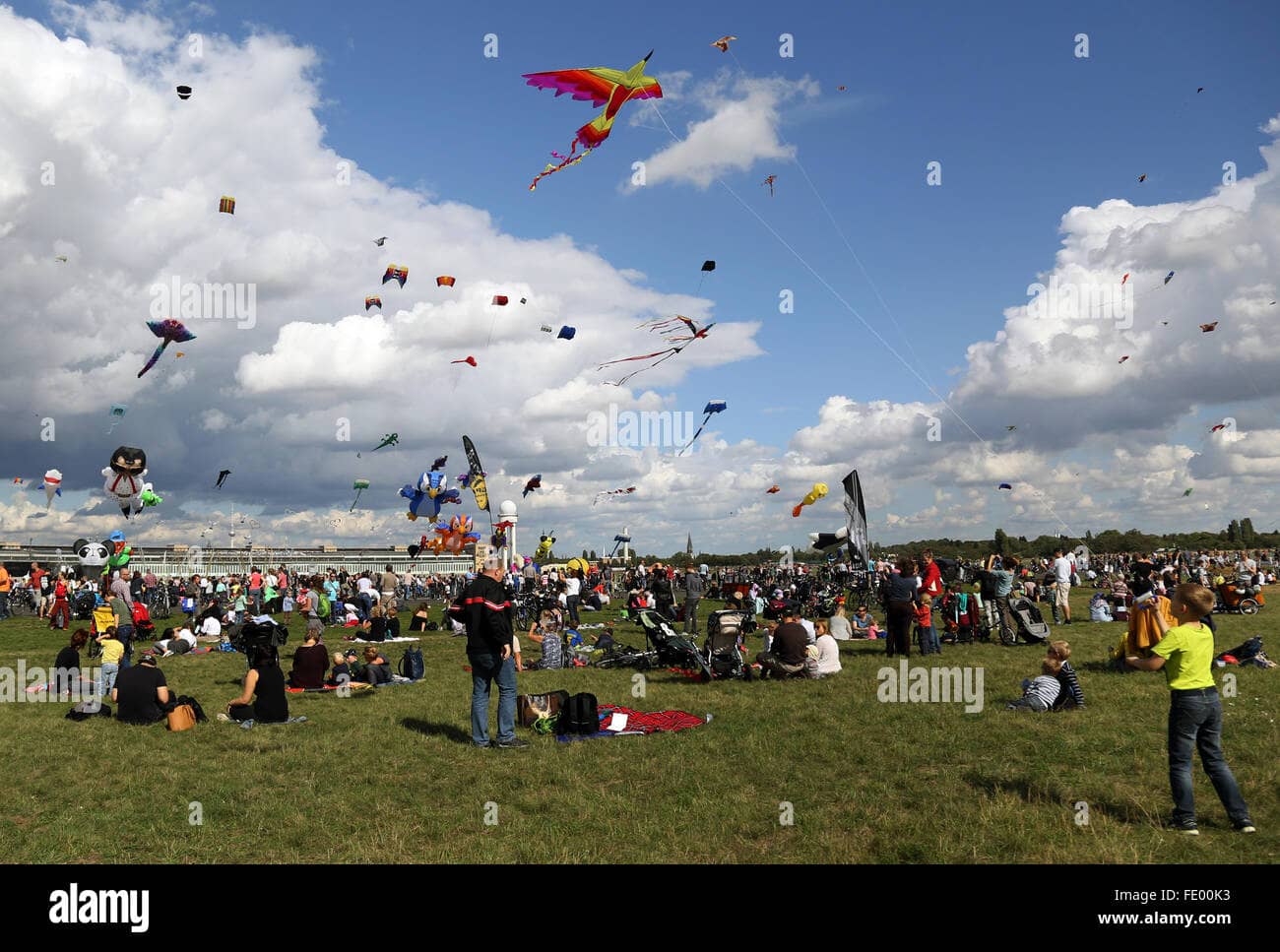 Kite Festival Spectacle