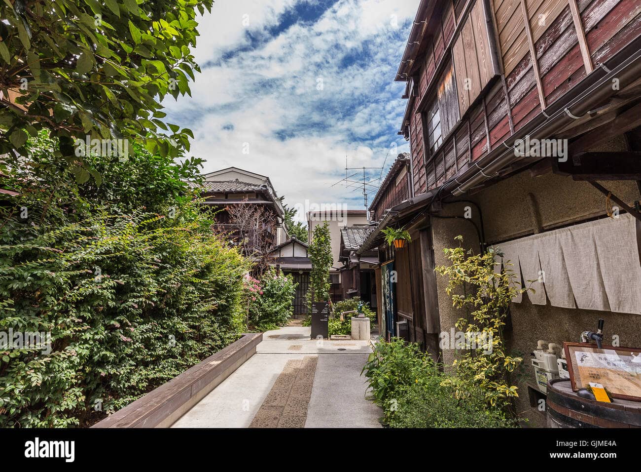 Specialty Olive Oil & Spice Shop