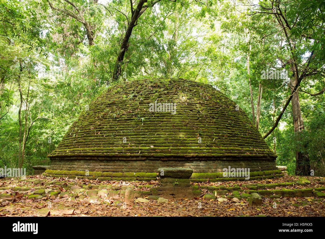 Ancient Buddhist Ruins