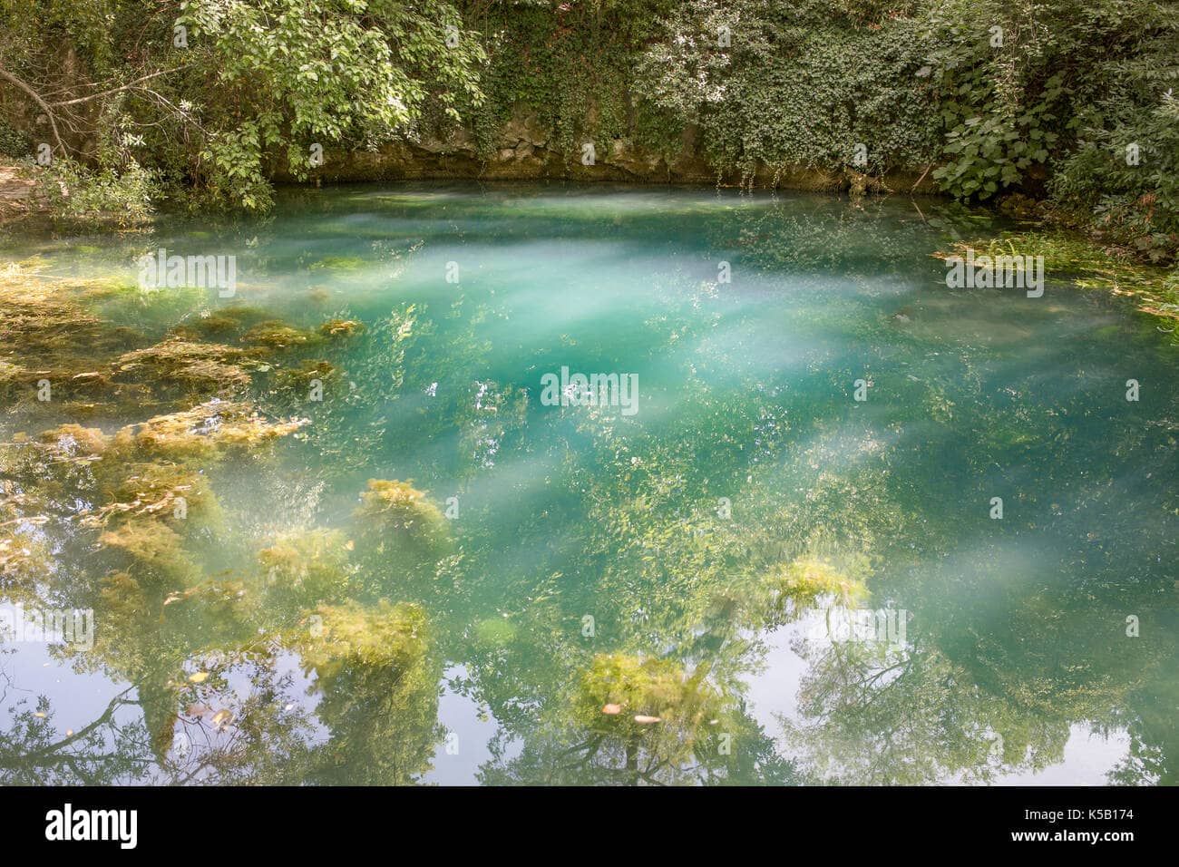 Timavo River Springs
