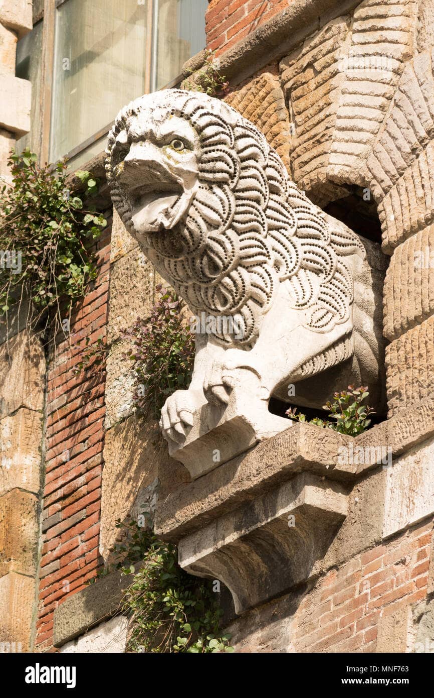 Coat of Arms & Lions