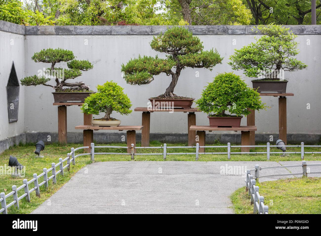 Bonsai Garden