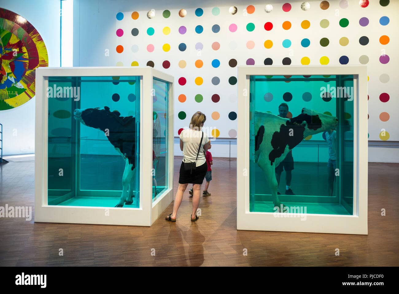Damien Hirst Collection