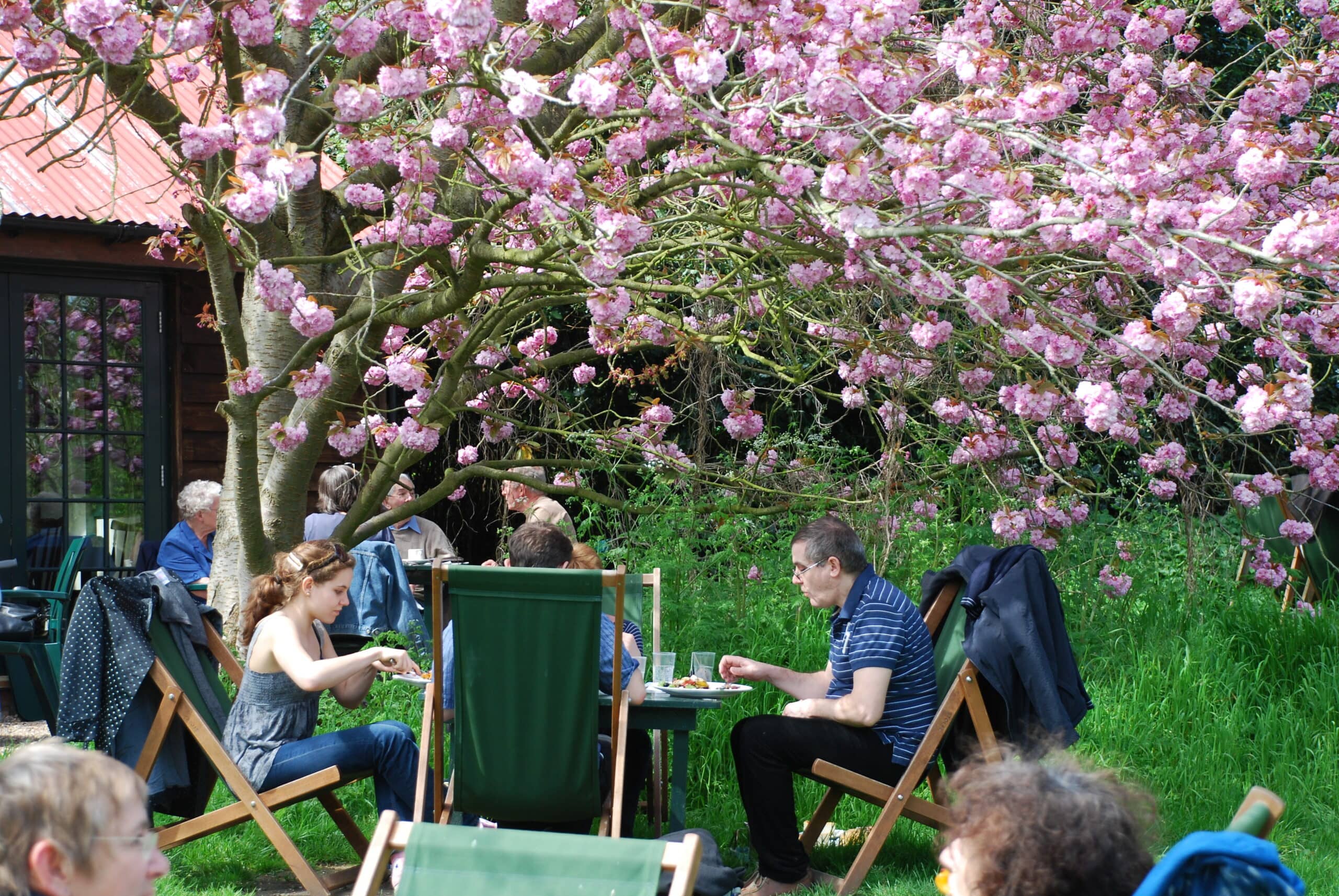 Historic Orchard Setting