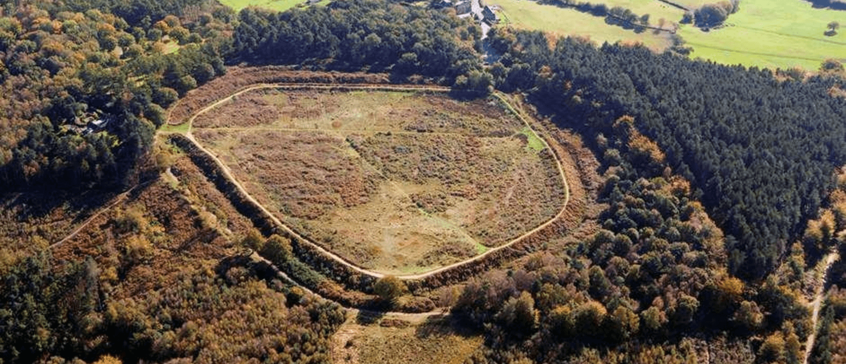 Castle Ring Hillfort