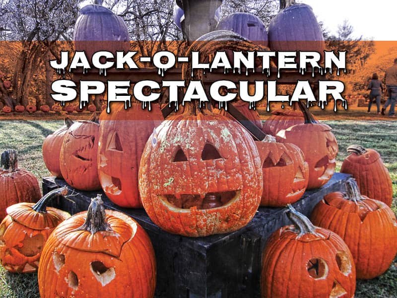 Jack-O-Lantern Spectacular