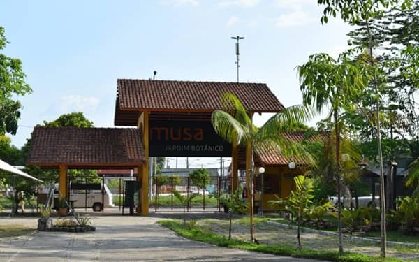 Amazon Rainforest Exposition