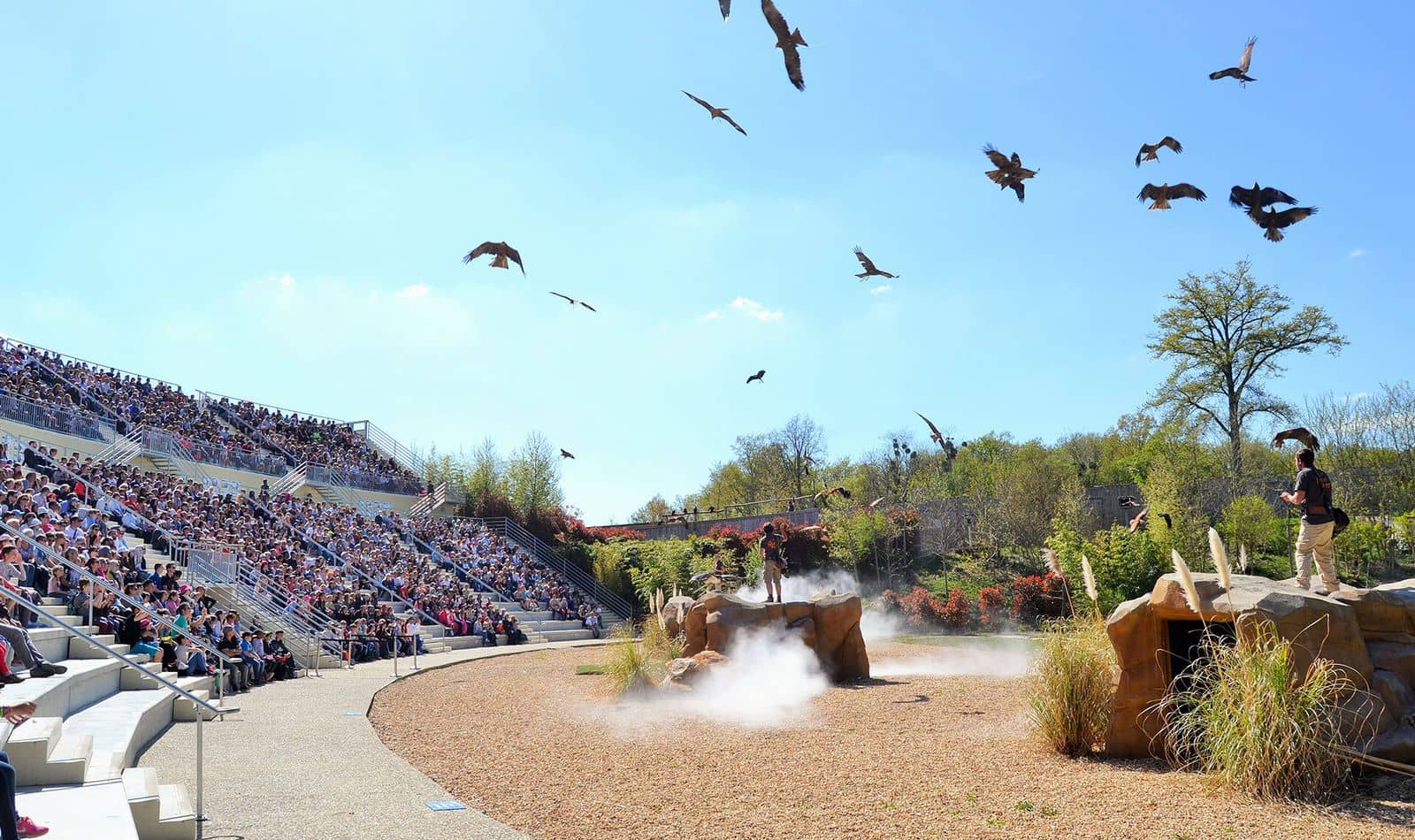 Bird Show