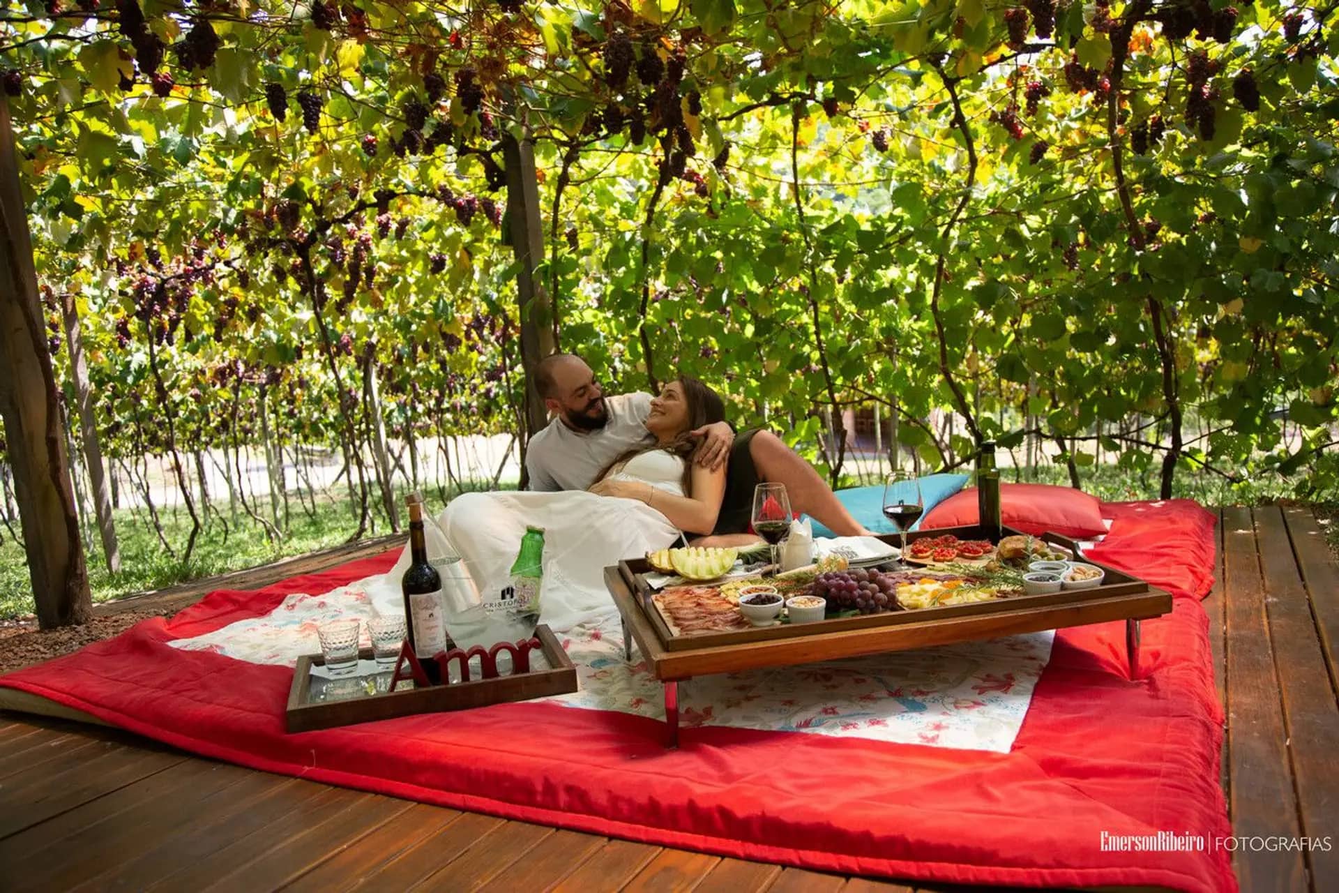 Unique Picnic Experience