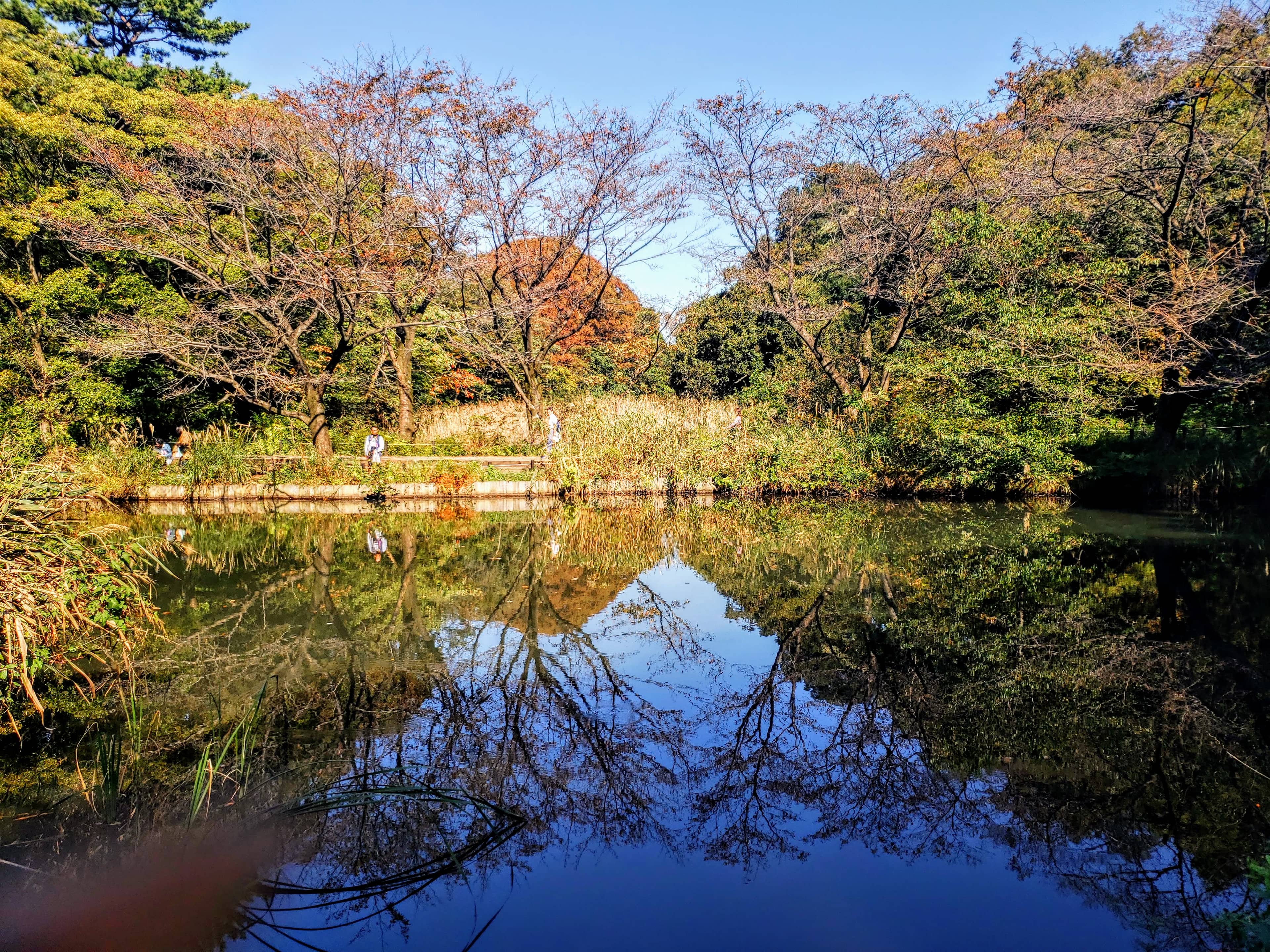Medieval Villa Ruins